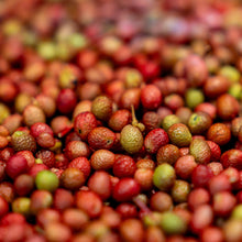 画像をギャラリービューアに読み込む, 完熟山椒のAICAFE醤