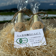 画像をギャラリービューアに読み込む, 【限定50ケース】八ヶ岳有機生ニンニク 2025