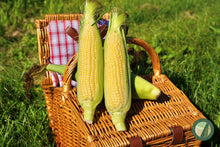 画像をギャラリービューアに読み込む, 味来(みらい)のコーンスープ~2024.12.27販売~