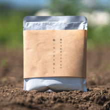 画像をギャラリービューアに読み込む, 越冬玉ねぎ400gの極・スパイスカレー