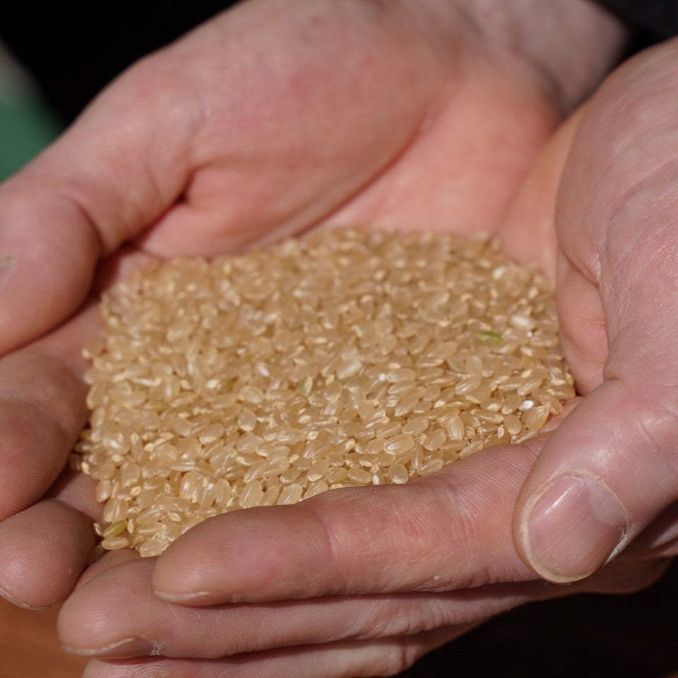 無農薬・無化学肥料栽培 玄米（2kg）H